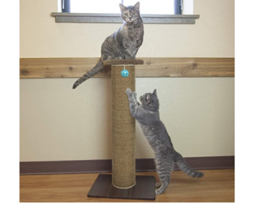 Kitty City XL Wide Premium Scratching Woven Sisal Carpet Only $22.09 Shipped! (Reg. $37) Great Reviews!