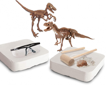 Discovery #MINDBLOWN Dinosaur Fossil Dig Excavation Kit Only $15.99!