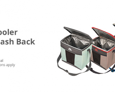 Summer Fun Freebie! Get a FREE Igloo Cooler from TopCashBack and Dick’s Sporting Goods!