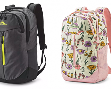 Kohl’s 30% Off! Earn Kohl’s Cash! Stack Codes! FREE Shipping! High Sierra Swerve Pro Backpack – Just $34.99!