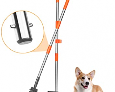 Dog Pooper Scooper Metal Tray and Rake Only $12.09!