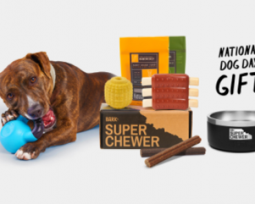 FREE YETI Dog Bowl with New Super Chewer Sign Up!