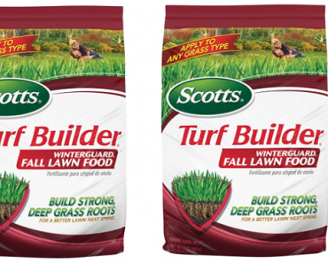 Scotts Turf Builder WinterGuard Fall Lawn Food, 12.5 lb. Only $17.34! Great Reviews!