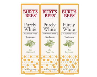 Burt’s Bees Toothpaste -Fluoride Free Purely White, Zen Peppermint – 3 Count – Just $4.78!