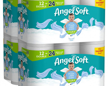 Angel Soft Toilet Paper 12 Count (Pack of 4) Only $22.99 on Amazon!