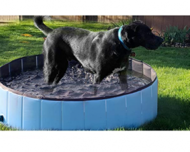 YAHEETECH Foldable Hard Plastic Large Pet Bath/ Swimming Pool Only $37.99 Shipped! (Reg. $50)