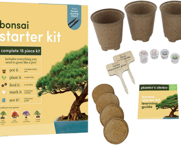 Bonsai Starter Kit (Grow 4 Bonsai Trees) Only $24.99!