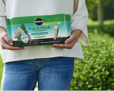 Miracle-Gro Tree & Shrub Plant Food Spikes (12 Count) Only $8.20! (Reg $16.99)