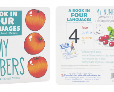 My Numbers – A Book in 4 Languages Board Book Only $3.00 Shipped!