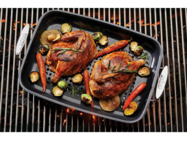 All-Clad Nonstick Outdoor Roaster Only $29.99 Shipped! (Reg. $100)