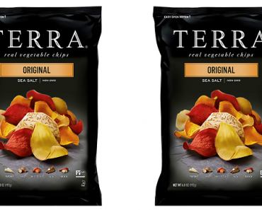 TERRA Original Chips with Sea Salt Only $2.50! (Reg $3.78)