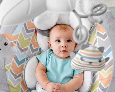 Fisher-Price Sweet Snugapuppy Dreams Deluxe Bouncer – Only $33.18!