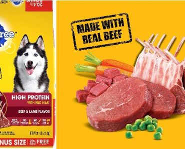 Pedigree High Protein Adult Dry Dog Food 20.4 lb Bag Just $11.61!