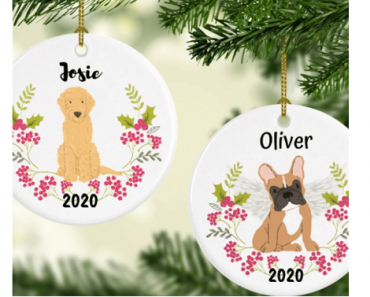 Personalized Ceramic Pet Ornament Only $14.99 Shipped! TONS to Choose From!