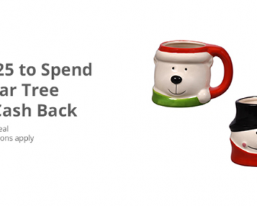 Awesome Freebie! Get a FREE $25.00 to spend at Dollar Tree from TopCashBack!