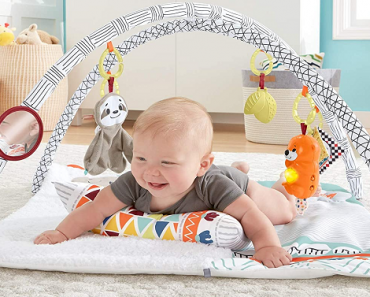 Fisher-Price Perfect Sense Deluxe Gym Infant Play Mat Only $29.99!