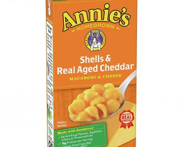 Annie’s Shells & Aged Cheddar Macaroni and Cheese, Mac and Cheese, 6 oz (Pack of 12) – Only $9.14!