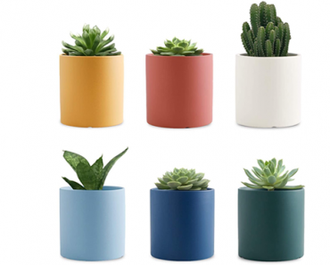 3.1 Inch Succulent Ceramic Small Plant Pots – Set of 6 Fun Colors – Just $10.99!