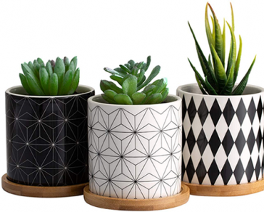 3 Small Ceramic Succulent Plant Pots with Bamboo Tray – Just $19.99!