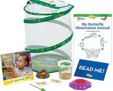 Insect Lore Butterfly Garden: Original Habitat and Live Cup of Caterpillars with STEM Butterfly Journal – Only $29!