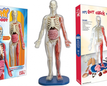 SmartLab Toys Squishy Human Body – Just $12.74! Was $29.99!