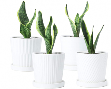White Ceramic Planters with Connected Saucers – Set of 4 – Just $21.69!