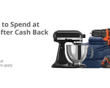 Awesome Freebie! Get a FREE $15.00 to spend at Lowe’s from TopCashBack!