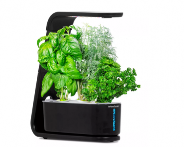 AeroGarden Sprout – 3 Gourmet Herb Pods Included – Just $69.99!
