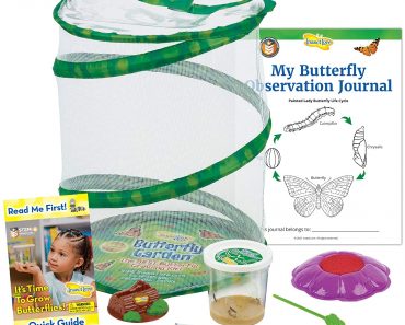 Insect Lore Butterfly Garden: Original Habitat and Live Cup of Caterpillars with STEM Butterfly Journal – Only $29.99!