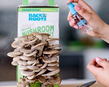Back to the Roots Organic Mushroom Growing Kit – Only $11.16!