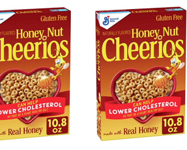 Honey Nut Cheerios, Gluten Free, 10.8 oz Only $1.41 Shipped!