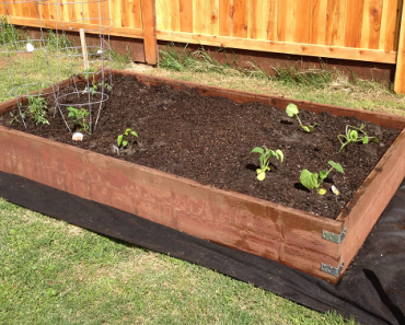 Make Your Own Raised Garden Beds This Spring!
