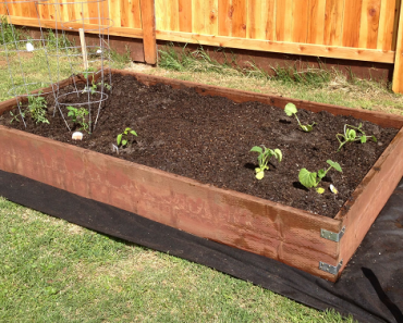 Make Your Own Raised Garden Beds This Spring! Make Your Own Raised Garden Beds This Spring!