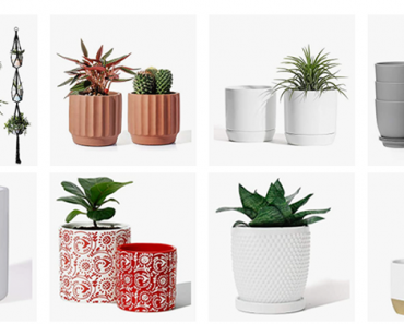 Save up to 47% on POTEY Standing Planters and Garden Pots!