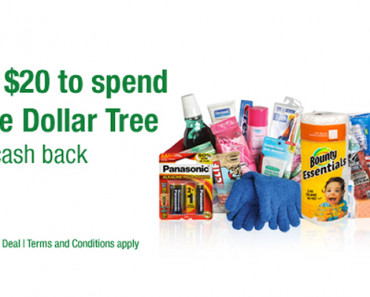 LAST DAY! Awesome Freebie! Get a FREE $20.00 to spend at Dollar Tree from TopCashBack!