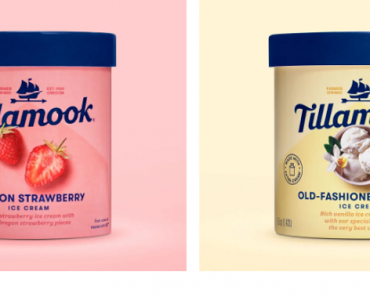 FREE 48oz Container of Tillamook Ice Cream (Printable Coupon)! While Supplies Last!