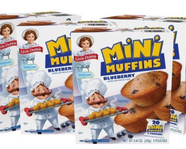 Little Debbie Blueberry Mini Muffins (20 Travel Pouches) – Only $10.36!