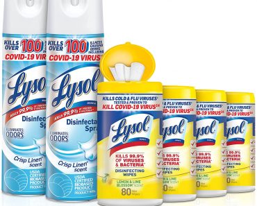 Lysol Disinfecting Wipes and Spray Value Pack Bundle – Only $18.80!