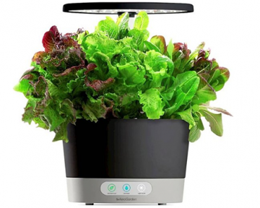 AeroGarden Harvest 360 w/ Heirloom Salad Seed Kit – Just $84.95! Prime Day 2021 Deals!