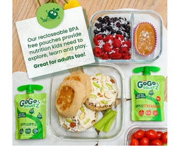 GoGo SqueeZ Fruit on the Go, Apple Cinnamon (48 Pouches) Only $14.33 Shipped!