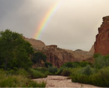 Tips When Exploring Capitol Reef National Park with Kids