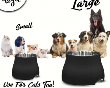 Dogit Stainless Steel Elevated Dog Bowl Only $5.49! (Reg. $16.49)