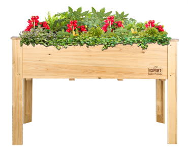 Expert Gardener Wood Raised Garden Bed (4ftx2ftx32in) Only $65.00 Shipped! (Reg $99.99)