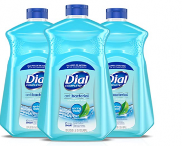 Dial Antibacterial Liquid Hand Soap Refill, Spring Water, 52 Fluid Oz (Pack of 3) Only $10.59 Shipped!