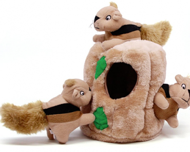 Hide a Squirrel Dog Toy – Just $9.87!