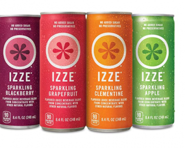 IZZE Sparkling Juice, 4 Flavor Variety Pack (24 Count) Only $13.76 Shipped! That’s Only $0.57 Each!