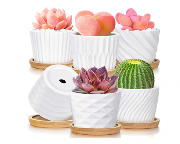 White Ceramic Succulent Pots w/ Bamboo Saucers – Set of 6 – Just $16.98!