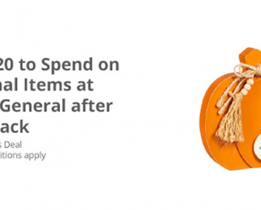 LAST DAY! Awesome Freebie! Get a FREE $20.00 to spend on Seasonal Items at Dollar General from TopCashBack!