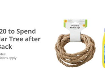 Awesome Freebie! Get a FREE $20.00 to spend at Dollar Tree from TopCashBack!