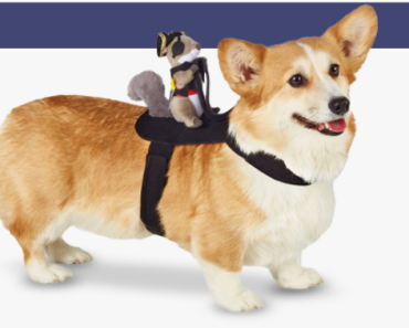 Target: Take 30% off Pet Halloween Costumes! Today Only!